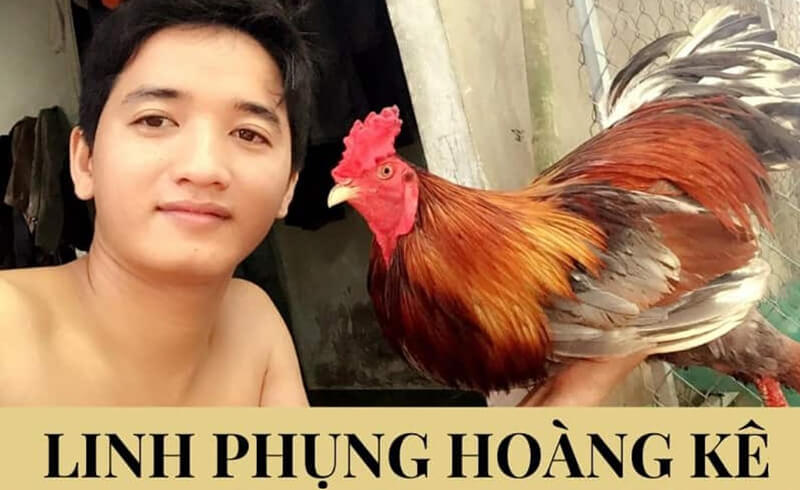 Sư kê Nguyễn Minh Nhựt chính là chủ của trại gà 